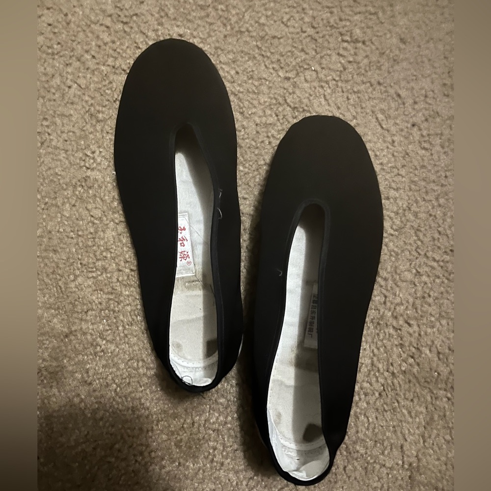 Traditional Tai Chi shoes size 10.5 (like from IPman)